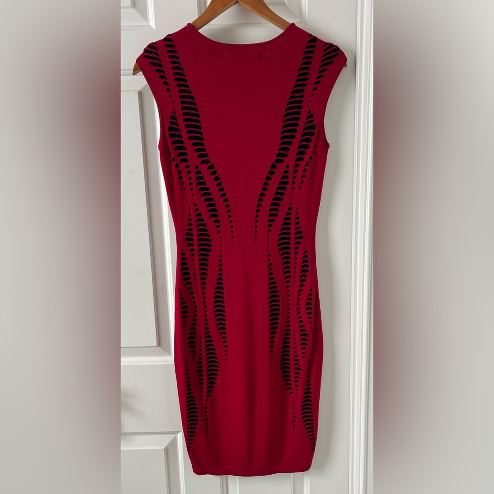 Debbie Shuchat midi bodycon dress.